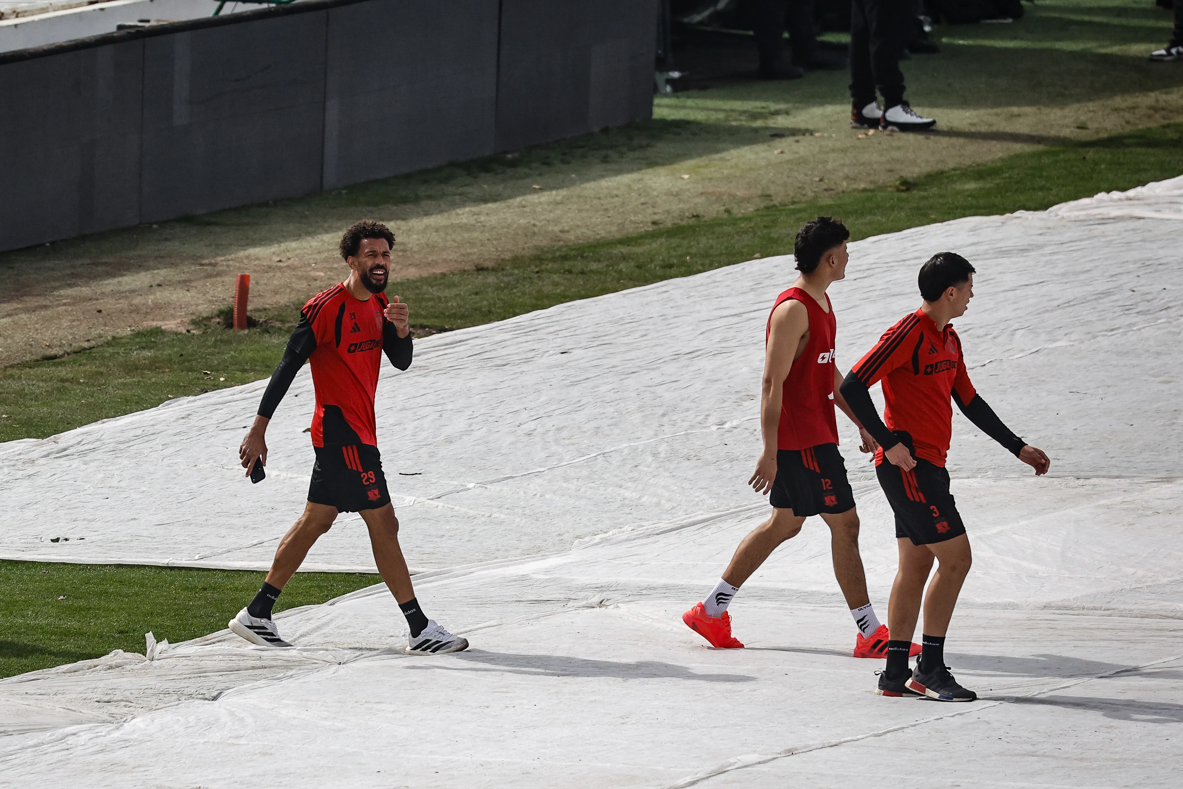 La cancha del Monumental con cuidados: se vienen dos recitales en Macul. Foto: Diego Martin/Photosport