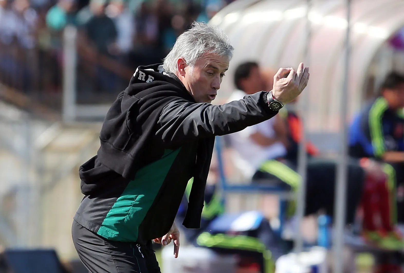 Ivo Basay estuvo entre 2012 y 2014 en Santiago Wanderers. Imagen: Photosport