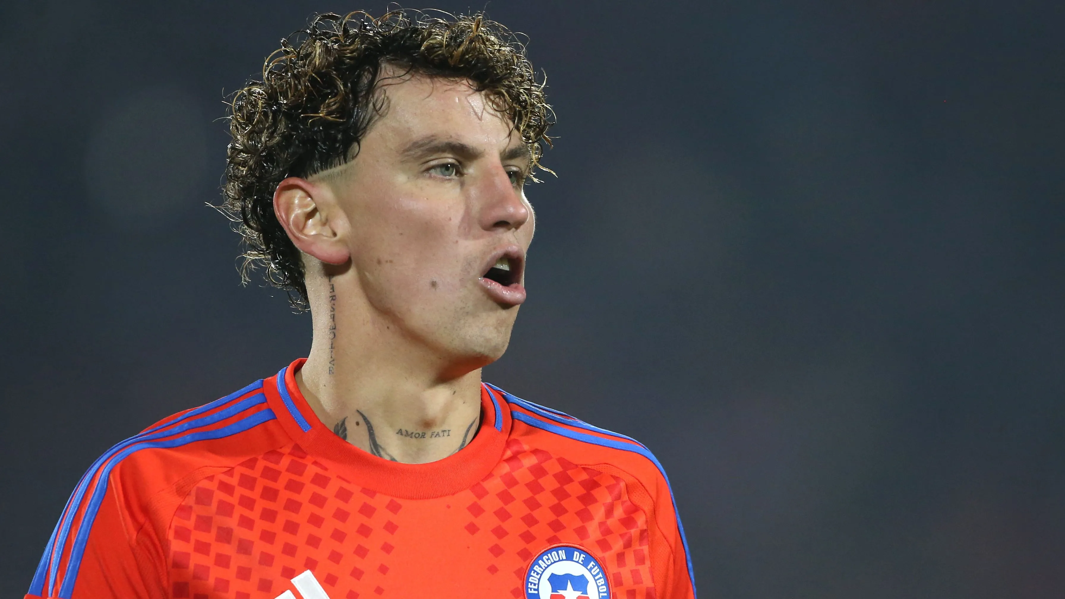 Lichnovsky ha disputado 16 partido por la selección chilena. Imagen: Photosport