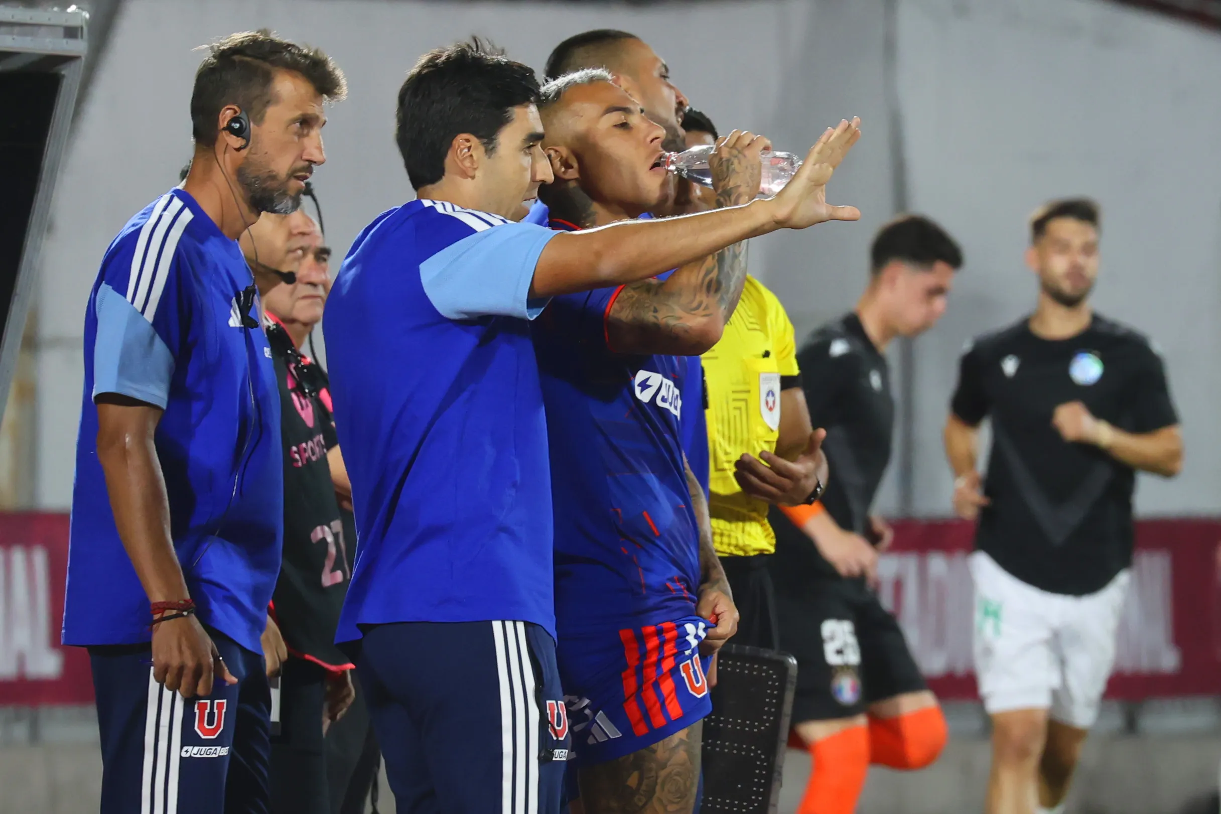 Meneghini dirigió 7 partidos en U. de Chile: 1 triunfo, 4 empates y 2 derrotas. Imagen: Photosport