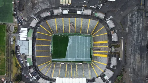 La cancha del Estadio Monumental ha sido tema para Fernando Ortiz.