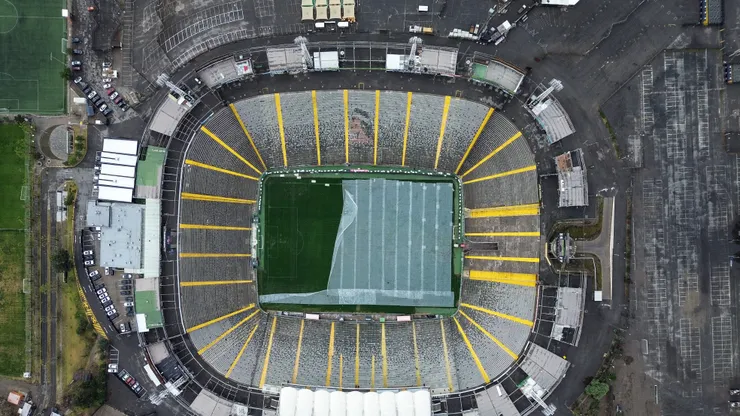 La cancha del Estadio Monumental ha sido tema para Fernando Ortiz.