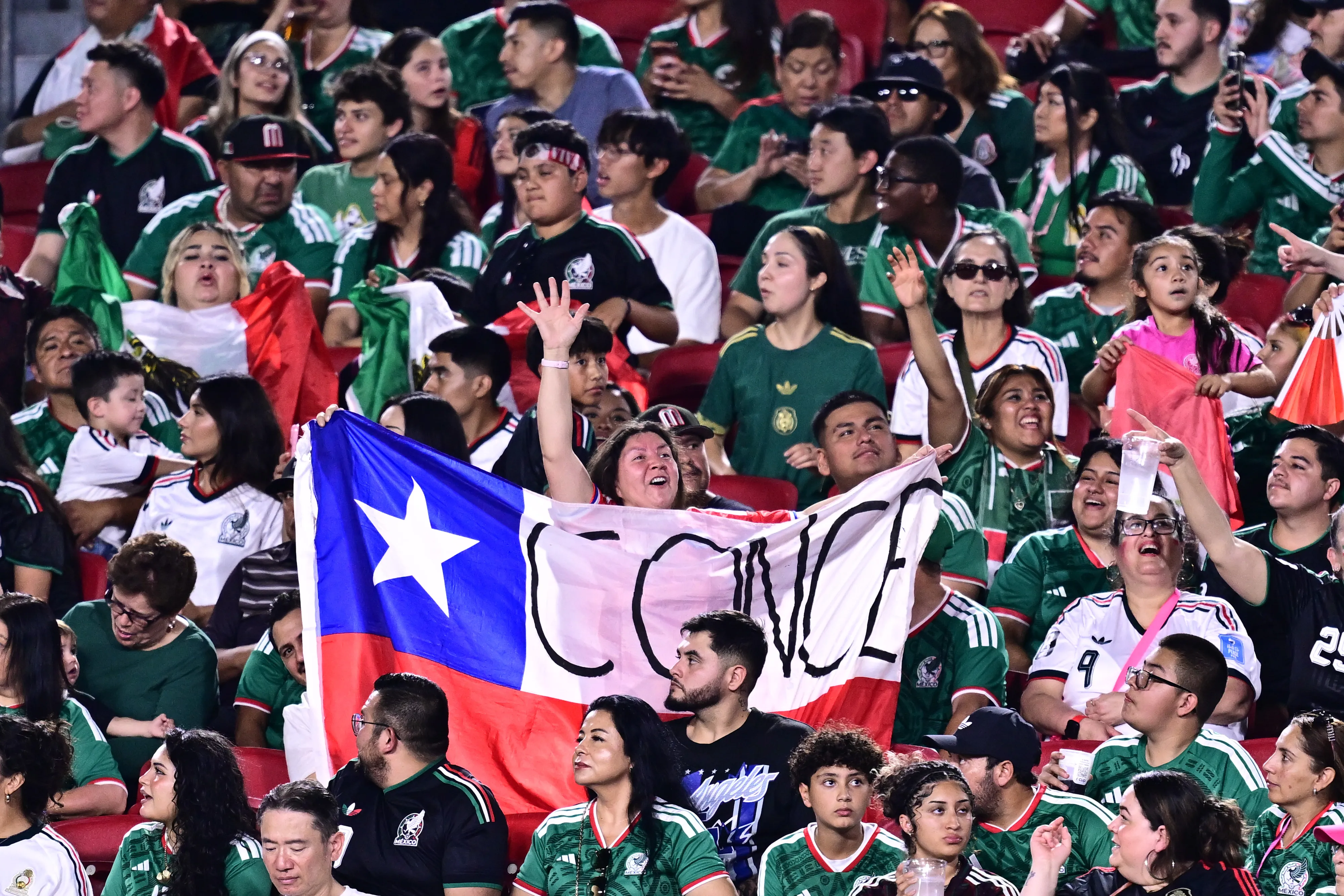 Los pocos hinchas chilenos en medio de los mexicanos. Foto: Julio Diaz/Photosport