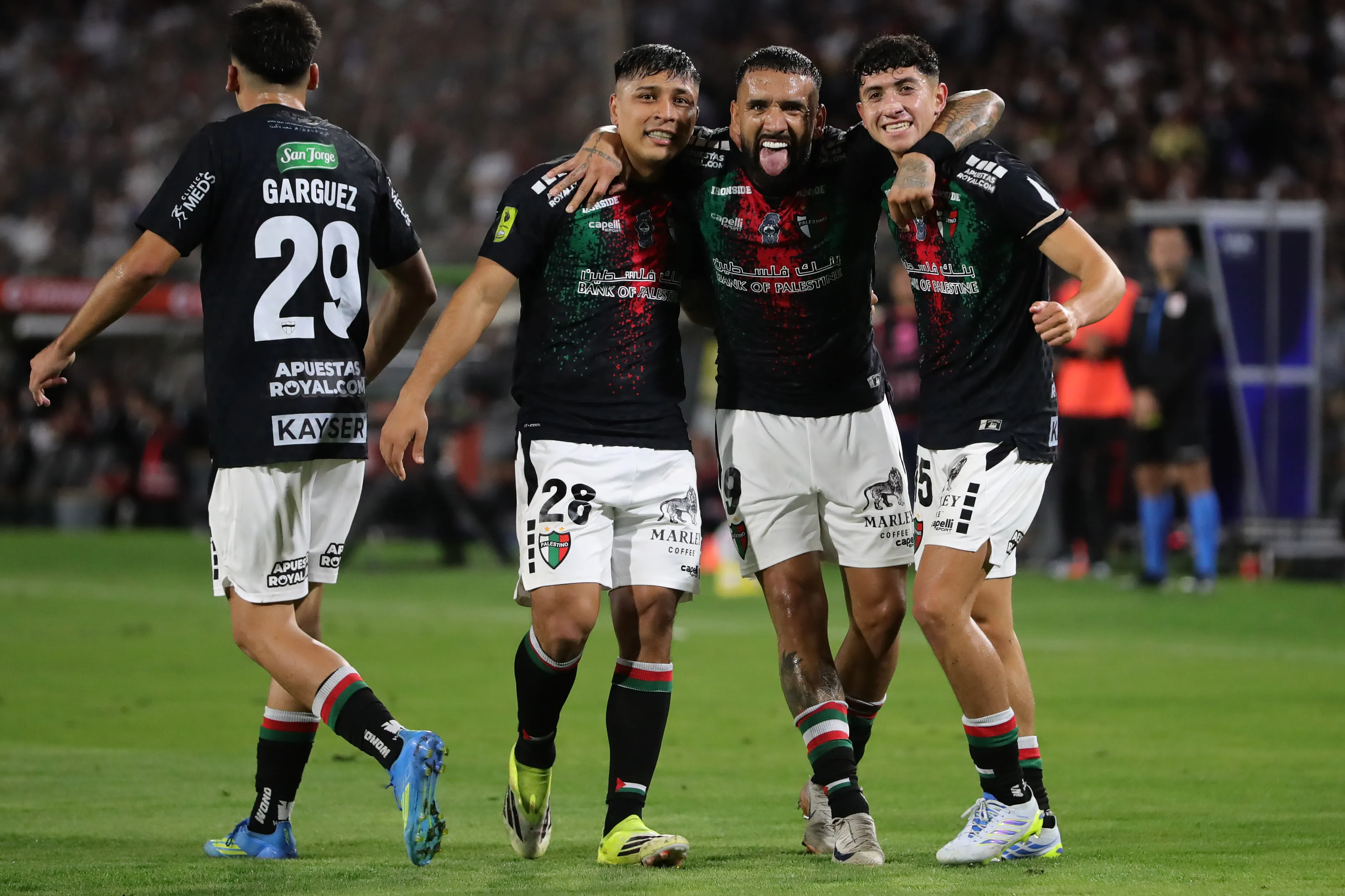 Palestino le ganó a Colo Colo en el Monumental. Foto: Felipe Zanca/Photosport