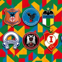 El relevo del "Penquistão": Así se jugará la Copa Región de O'Higgins