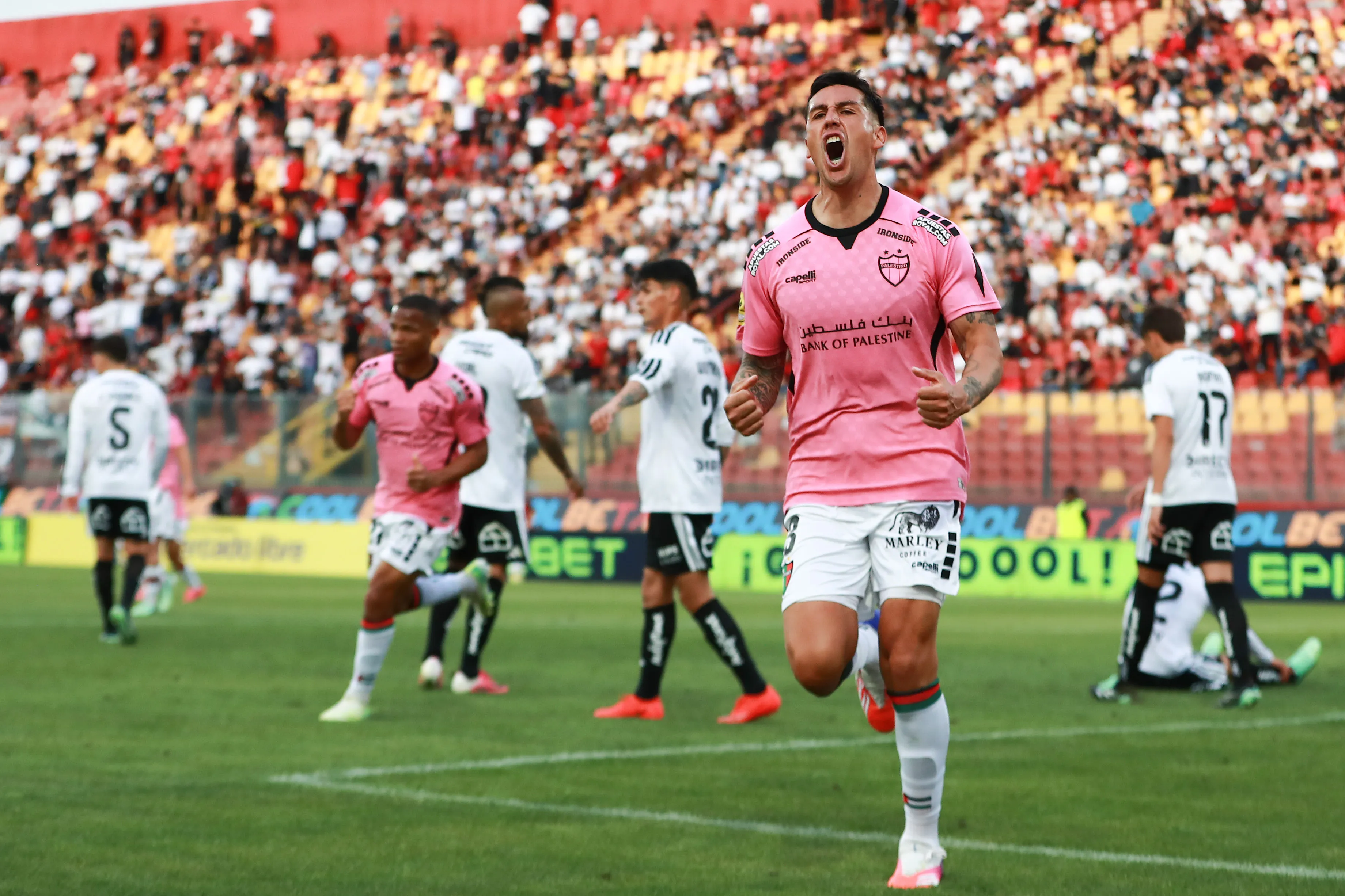 Así celebró Enzo Roco el gol del empate de Palestino ante el Cacique. (Felipe ZancaPhotosport).