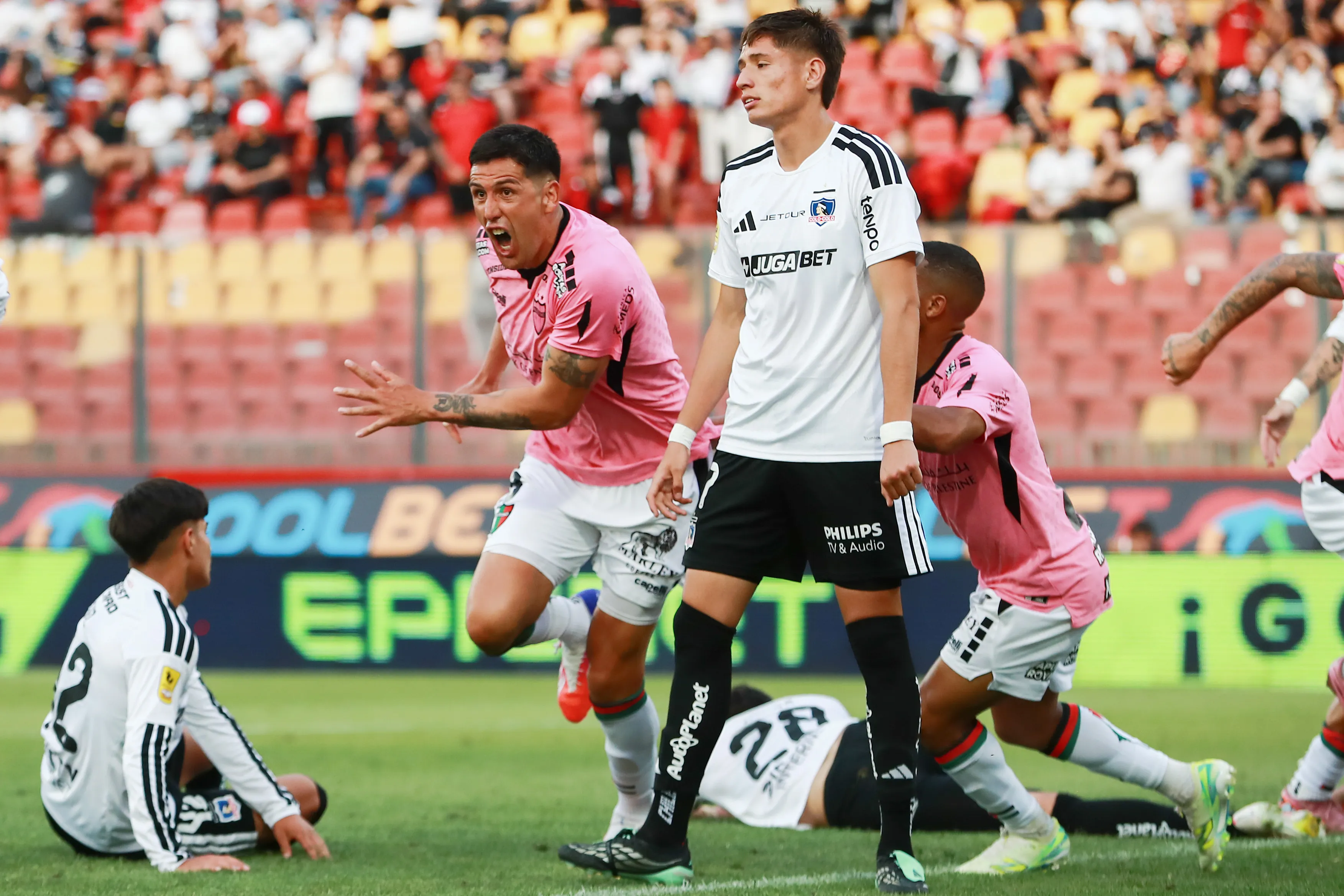 Enzo Roco celebra el gol del empate de Palestino ante Colo Colo. Foto: Felipe ZancaPhotosport