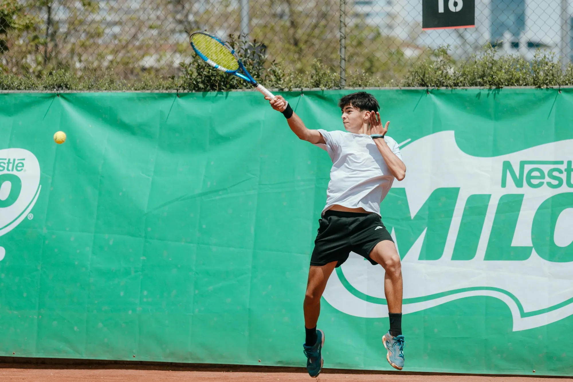 El tenis chileno tendrá espectáculo en diciembre
